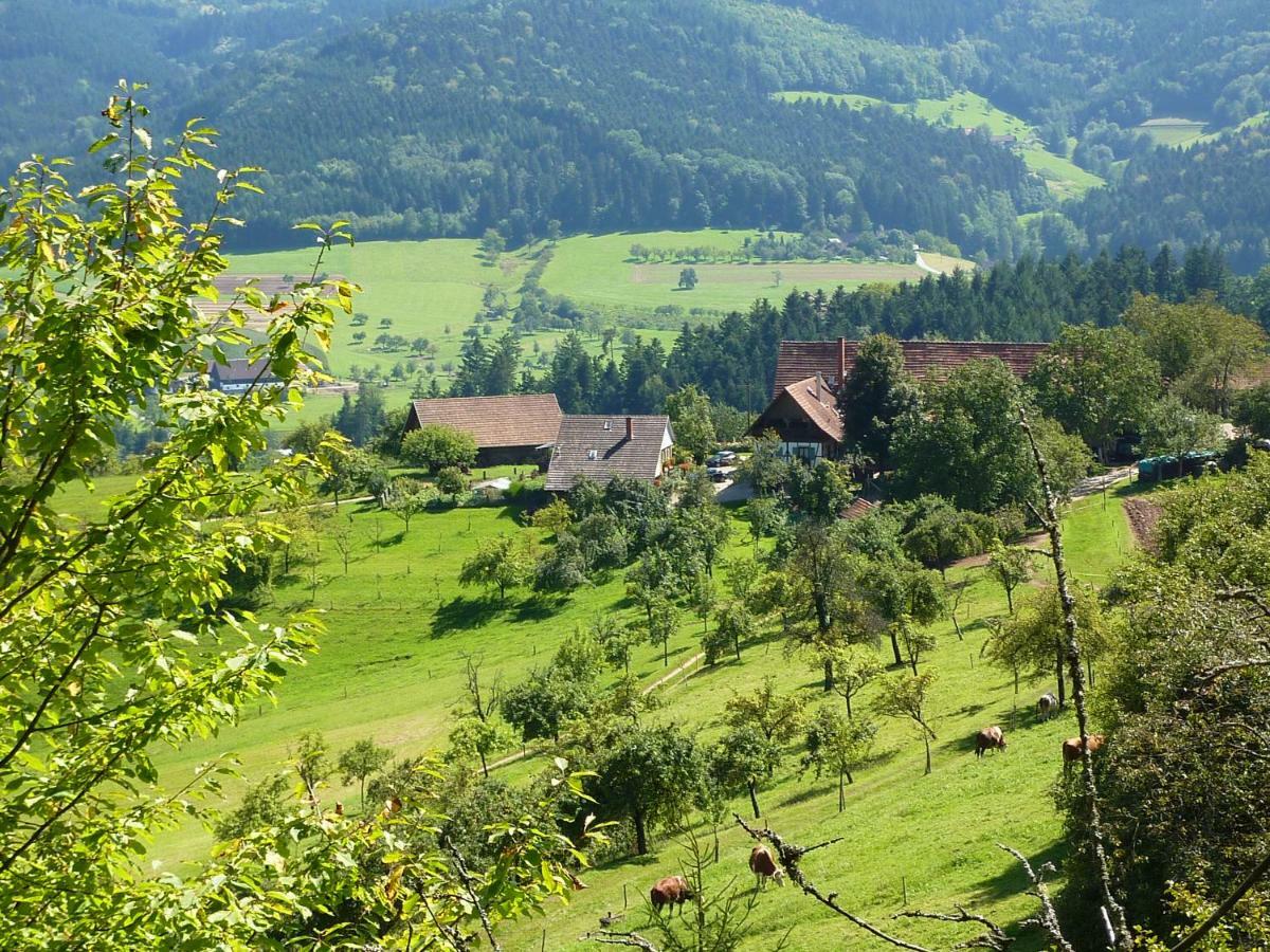 Ferienhaus Eck Цел ам Хармерсбах Екстериор снимка